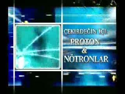 CEKIRDEGIN ICI VE NÖRONLAR